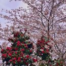 장꽁 펜션 이미지