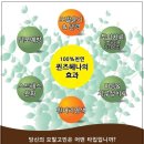 엔티에이치(nth)퀸즈헤나