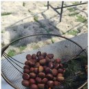 경희대다온태권도장 이미지