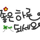 장수알파약국 이미지