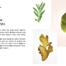 오번농장 | 메다비타 두피 라인 제품 후기