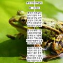 메뚜기와 하루살이 이미지