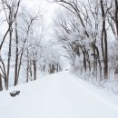 하얀 눈의 기적 The Miracle of White Snow 이미지