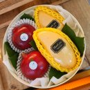 이천청과 이미지