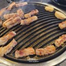 고기검객 이미지