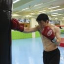 타워복싱 이미지