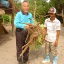 호산나교회 이미지