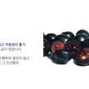 정미네슈퍼