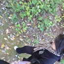 직지사길 | 김천 단풍여행 당일치기_코레일관광개발 당일투어 후기(부모님 모시고 가기 좋은 여행 추천)