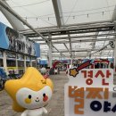 정현시래기 이미지