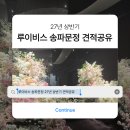아모리스 | [웨딩홀] 루이비스 송파문정 27년 상반기 상담 후기 | 아모리스홀 견적공유 ⭕