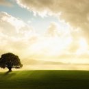 스마트폰길라잡이 이미지