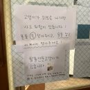 호노보노 | [창원] 지브리 느낌 낭낭 호노보노 고양이카페 방문기 🐱| 솔직후기 (고양이 많고 깨끗해요 🐱) /내돈내산
