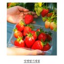 갈산목장 티스토리