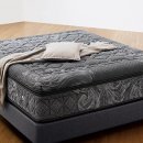 로얄환경 이미지