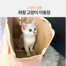 사계절 애견 켄넬 | 네이버 펫 바우처 퍼핑 고양이 이동장 애견 캐리어 제품 리뷰