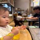 구로세관 | 삿포로 여행 | 20개월 아기랑 떠난 일본 삿포로 가족여행 1일차 | 준비부터 숙소 도착까지 리얼 후기