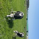 시동목장 이미지