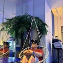 숙녀코너 이미지