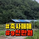 1398목장 이미지