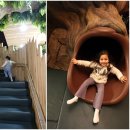 에코파크작은도서관 | 아이와 함께 가볼만한 곳 용인 코코몽에코파크