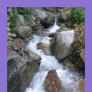 스팅 펜션 | 배내골 숙소 가성비 수영장펜션 별채 다녀온후기