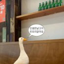 광일공인중개사사무소 이미지