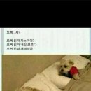 한방가 Daum카페