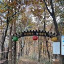 미인힐링 이미지