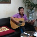 상록수 Daum카페