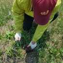 질경이농장2 이미지