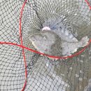 만정 캠핑장 이미지