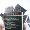 댕댕이냥냥 이미지