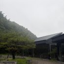 459 | 용인 처인구 카페 추천 비 오는 날 가기 좋은 카페 카페 묵리 459 후기