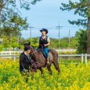 발자국 따라 우리 역사 이미지