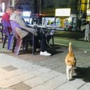 꽃과편의점