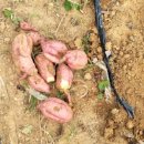 공북2리경로당 이미지