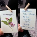 함스헤어앤스파