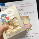 [2026.2] 설맞이 준비ㅣ설연휴ㅣ백촌막국수ㅣ카시아속초