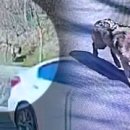 대전오월드 이미지