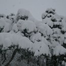 임내등산로 이미지