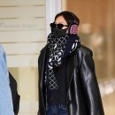 보스턴제니 이미지