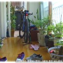 매천중학교 이미지