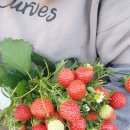 해랑농장 이미지