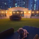 학교종이 댕댕댕 이미지