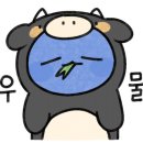 오니비니 이미지