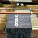 문종농장 이미지