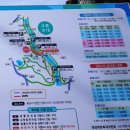 [봄꽃축제] 제 19회 광양매화축제 후기(2016.03.18~3.27) - 광양 매화마을 가는 방법