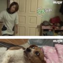 독산유치원 이미지