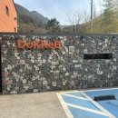 와플꾸어주는 누나 | 대구 달성 대형카페 도케비커피 비슬산 본점 블루리본 방문 후기